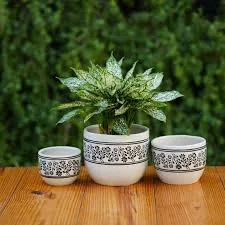 Botanical Illustration Ceramic Pot